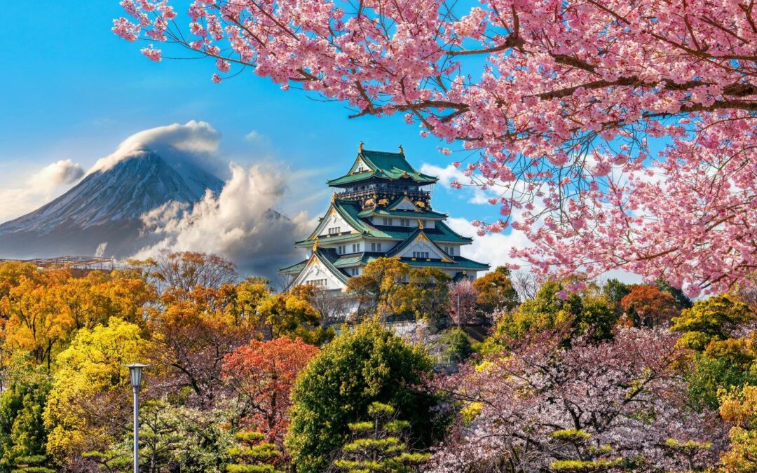 Primavera y verano en Japón: todo lo que necesitas saber para tu próxima aventura